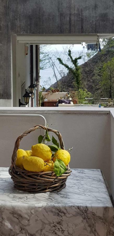 Casa Vacanza Giovanna Vietri Dış mekan fotoğraf